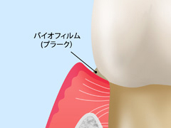 健康な状態