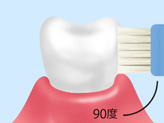 歯みがきの方法