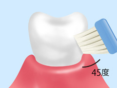 歯みがきの方法